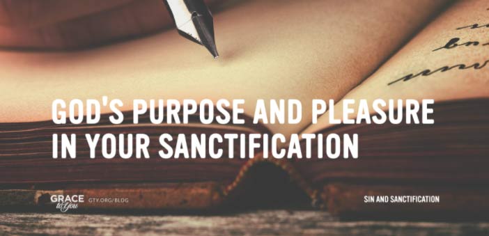 God's Purpose and Pleasure in Your Sanctification